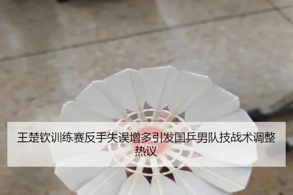 王楚钦训练赛反手失误增多引发国乒男队技战术调整热议